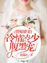 少爺?shù)奶婕迣櫰蘼嬅赓M觀看