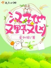 黑道少主招惹我小說