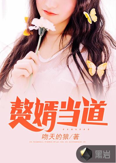 老婆罵我是贅婿什么意思