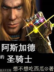 圣騎士alice