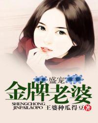 主角是穆晚晴文湛的小說在線閱讀